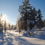 Lapland 2016 024